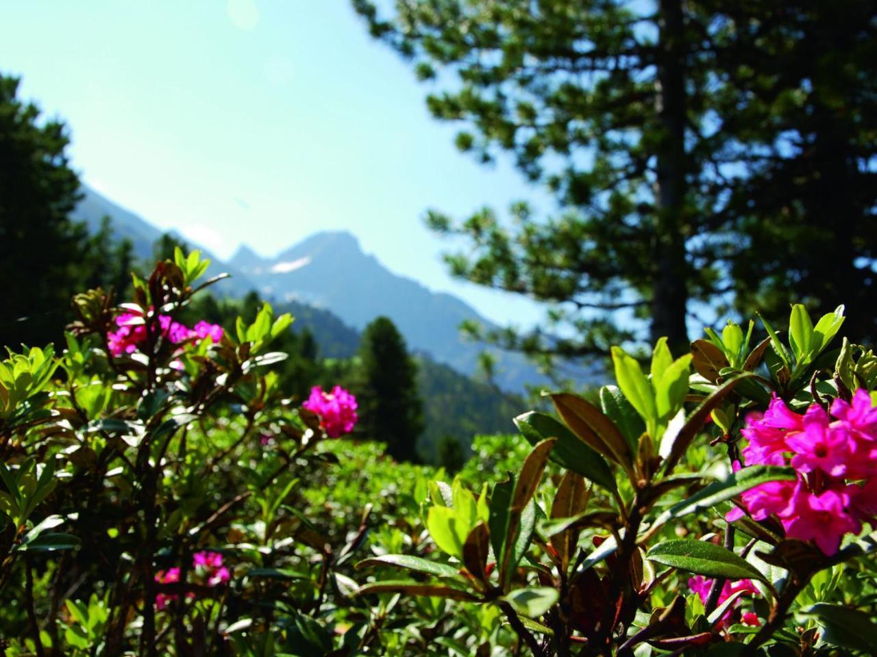 Cozy Apartment In Oetz Close To Ski Area ภายนอก รูปภาพ